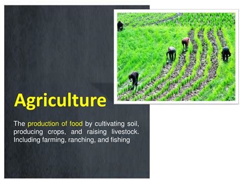 Civilization 的图像结果