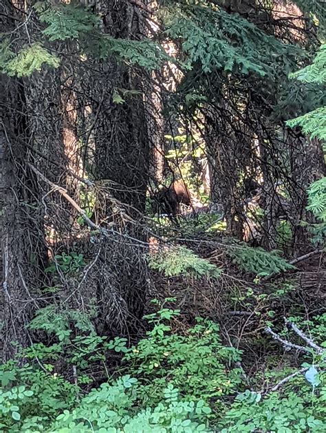 The 24-Hour Challenge: PCT Days 112 & 113 - The Trek