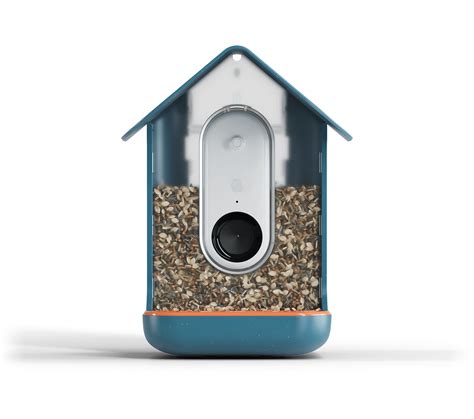 Bird Feeders With Camera: 11 Best Options | Plants Heaven