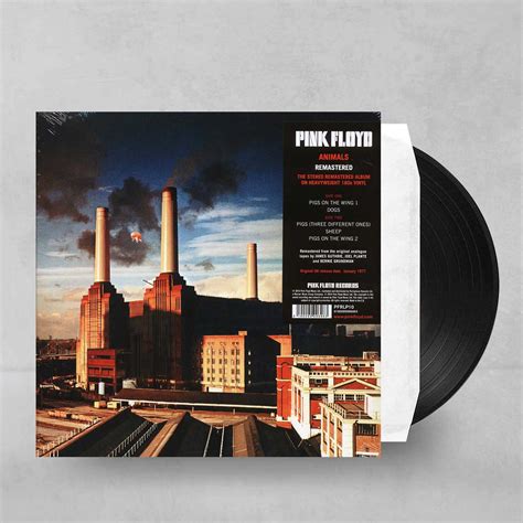 Đĩa Than Pink Floyd - Animals (Vinyl LP) | District M