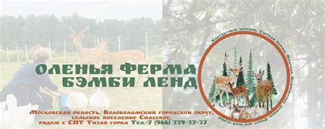 Оленья ферма "Бэмби Ленд" | Бэмби Ленд — это оленья ферма и уникальный ...