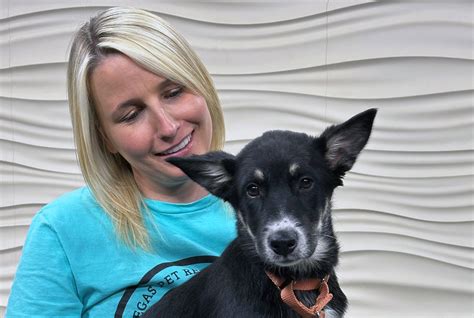 Several people detained in Las Vegas shooting investigation: police