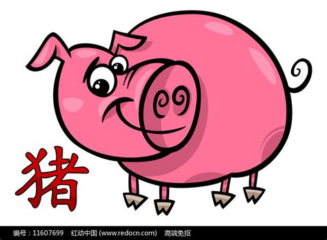 十二生肖猪图片下载_红动中国