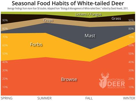 What Do Deer Eat? A Deer Diet Breakdown by Season