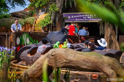 Guests Evacuated from Tiana's Bayou Adventure on Third Day of Operation ...