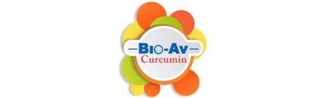 Bio-Av Curcumin with 46x Higher Bioavailable Curcumin 500 mg -Veg ...