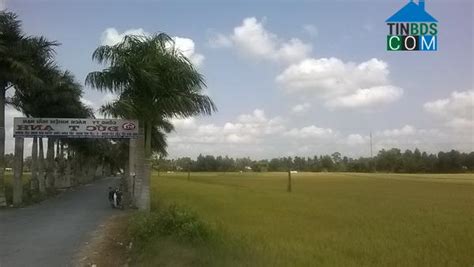 AMBIL SEKARANG