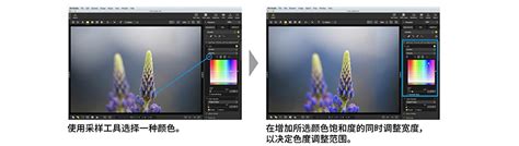 NX Studio绿色安装包2021最新版下载-NX Studio（尼康专用图像处理软件）官方正式版下载1.0单文件版-蜻蜓手游网