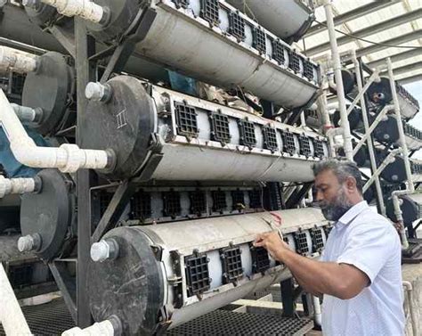 EduAdvice | Educational News