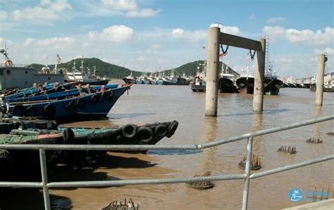 中国舟山渔场建在上升还是下降流 - 说植物