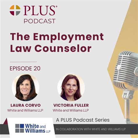 The Employment Law Counselor PLUS Podcast Episode 20 Featuring Chris ...