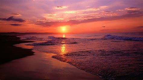 Sunrise On Beach Widescreen Hammock