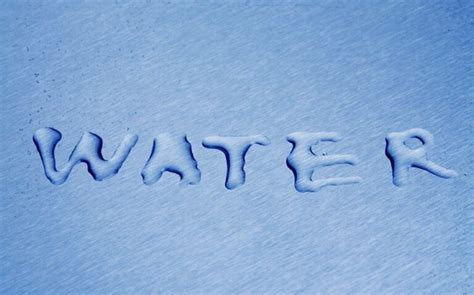 Bosses or Boss's: How to Use Them Correctly