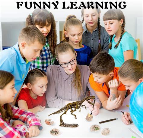 Buy Dinosaur Fossil Digging Kit for Kids, Dinosaur Eggs Excavation Kit ...