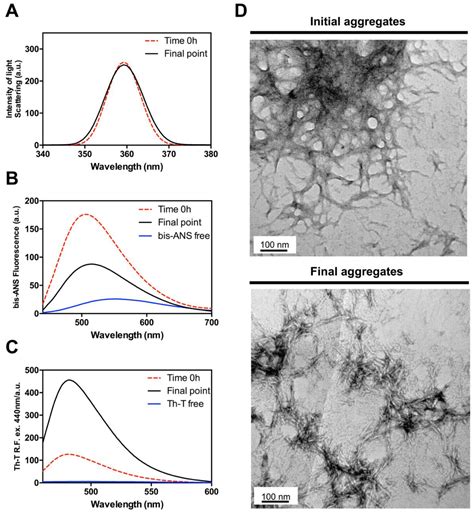 The Disordered C-Terminus of Yeast Hsf1 Contains a Cryptic Low ...