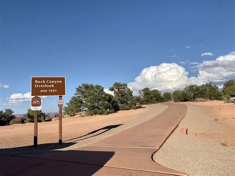 Canyonlands National Park in a wheelchair - Little Miss Turtle