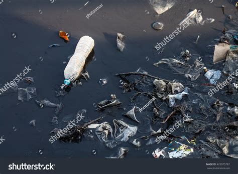 Environmental Pollution 的图像结果