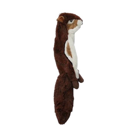 Buy Talking Dog Club Chipmunk Stuffless Plush Toy for Dogs (Brown ...