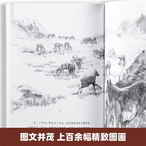 沈石溪狼王梦漫画版动物王国小说全套6册沈石溪的书小学生四五六年级课外书8-12岁儿童文学经典畅销书籍中国少年儿童出版社_虎窝淘