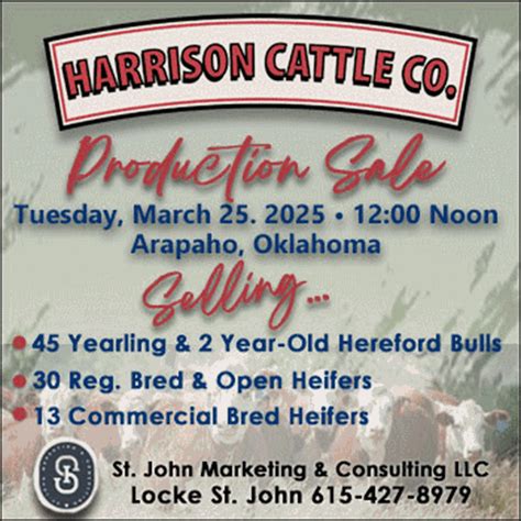 "Shootin' The Bull"… Nearing a ‘Turning Point’ in the Cattle Industry ...