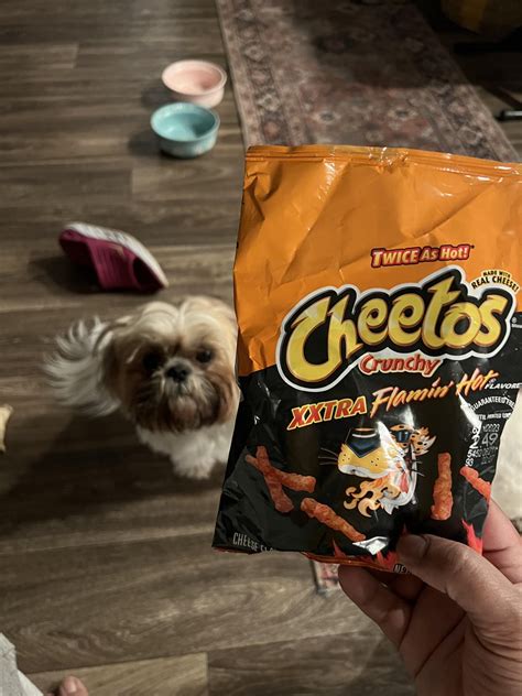 XXTRA hot Cheetos should be the standard, and then a 2x version of this would be 🔥 : r/spicy