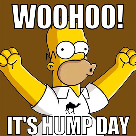 Hump Day Gif Funny