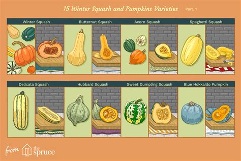 Sit Down for Some Squash! | Thrive | Fruits & Veggies Month