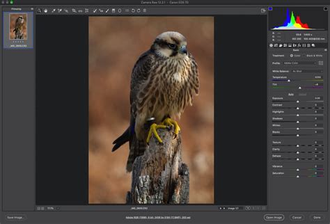 Adobe says Photoshop for web will be free for everyone...eventually ...