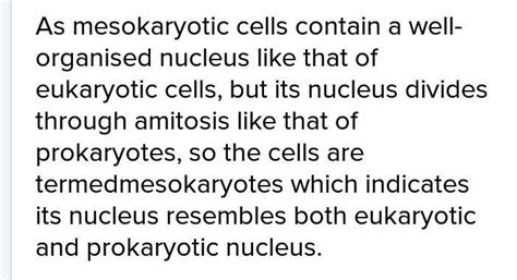 What is the basic difference between prokaryotes and mesokaryotes ...