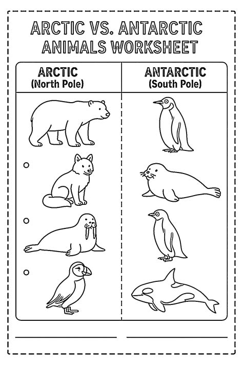 Arctic vs. Antarctic Animals Worksheet - Download & Print Now!