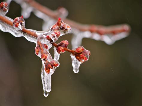 Tomorrow's Weather Québec city (Feb 01): Clear Skies, Bitter Cold - The Weather Network