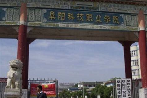 8月9日，阜阳北外新华学校，有点牛！_教育