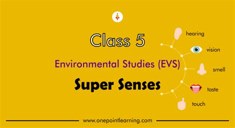 Class 5th Science Chapter Super Sense 的图像结果