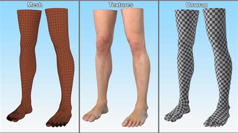 3D Realistic Human Male Legs Rigged for Maya | 3D Molier International