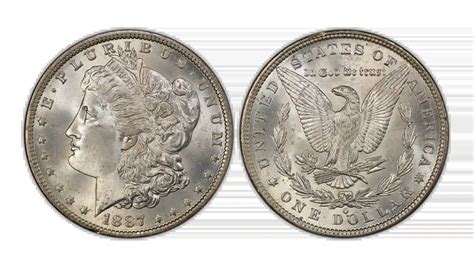 1887 Morgan Silver Dollar: Identification, Market Value, and Collector ...