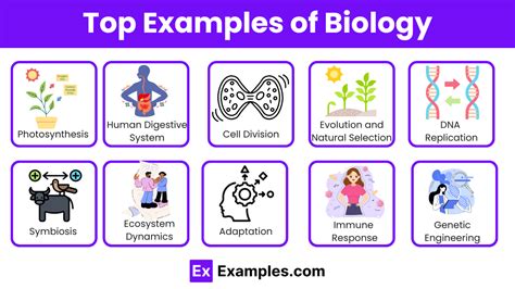 Biology Examples 的图像结果
