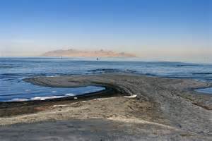 Researchers Discover Previously Unknown Species in Utah’s Great Salt Lake