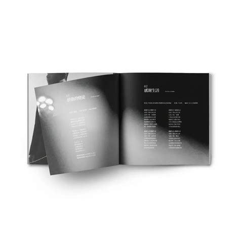 CD设计|平面|包装|Lance厘浪见 - 原创作品 - 站酷 (ZCOOL)