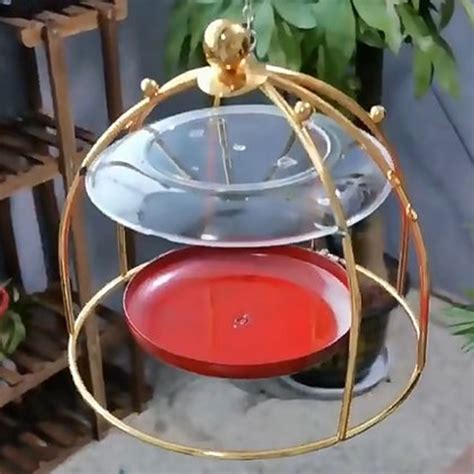 Dome Top Hummingbird Feeders Dome Top Hummingbird ... – Vicedeal