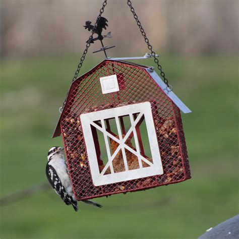 Gift Essentials Sunflower Seed and Suet Feeder, Metal Mesh Bird Feeder ...