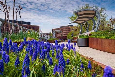 Fairleigh Dickinson Academic Calendar: A Comprehensive Guide for Students