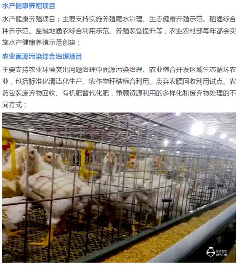 【通告】严打非法畜禽养殖场，违法请举报！