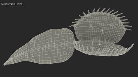 3D Venus Flytrap Dionaea Muscipula Stem | 3D Molier International