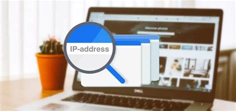 Image result for IP Camera URL