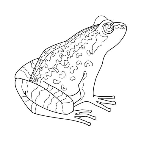 Froglet Coloring Pages