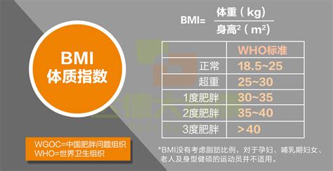 【图】bmi指数男女标准表大分析 减肥之前一定要看看这张表(2)_bmi指数男女标准_伊秀美体网|yxlady.com