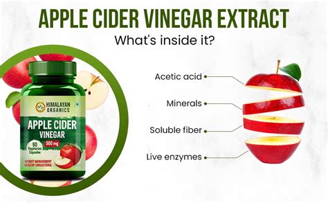Himalayan Organics Apple Cider Vinegar 500mg Supplement for Weight Loss ...