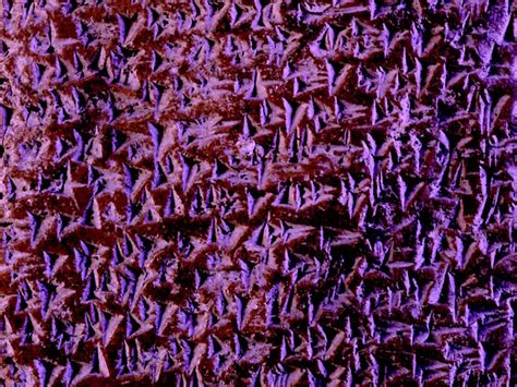 El enigma de los textos invisibles fenicios | Meer