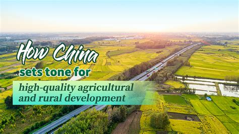 Agriculture China 的图像结果
