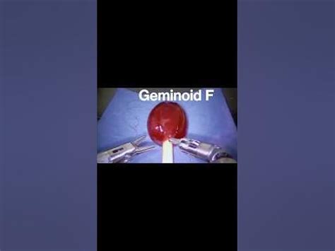 Image result for Real Android